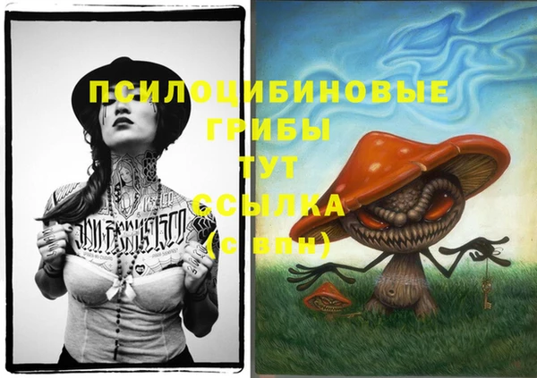 Альфа ПВП Куйбышев