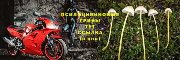 ешки Кукмор