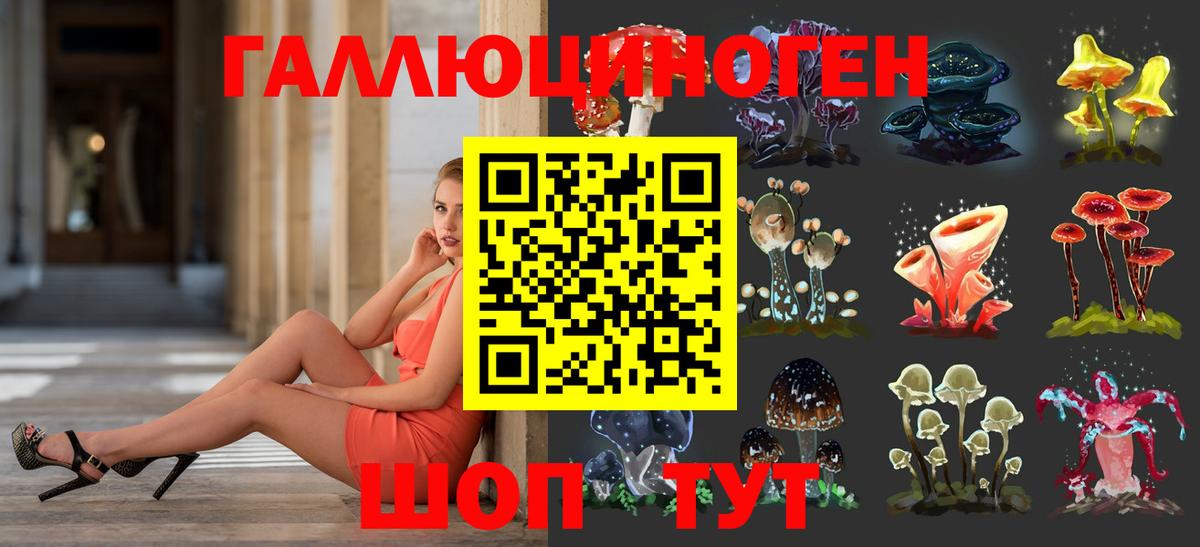 Галлюциногенные грибы ЛСД  Чернушка  цена наркотик  Галлюциногенные грибы мухоморы 
